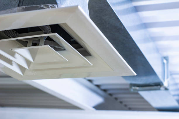 Best Ductwork Cleaning Services  in Ben Bolt, TX