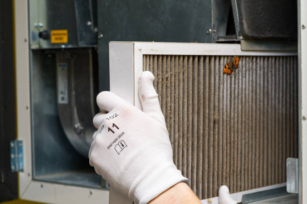 Best Air Duct Cleaning Company Near Me  in Ben Bolt, TX