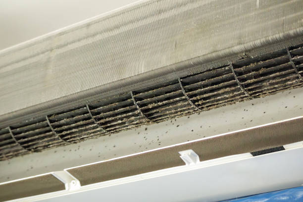 Best Affordable HVAC Duct Cleaning  in Ben Bolt, TX