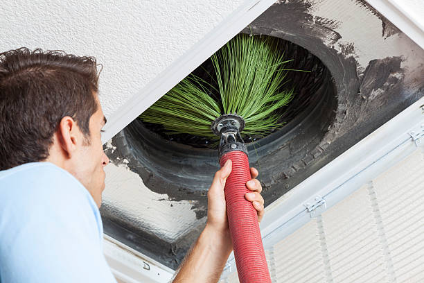 Best Ventilation Cleaning Services  in Ben Bolt, TX