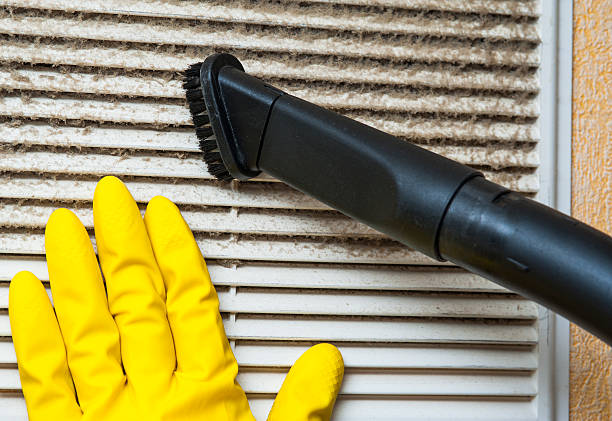 Best Local Air Duct Cleaning Services  in Ben Bolt, TX